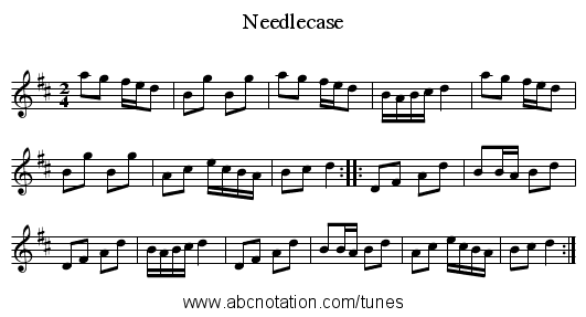 Needlecase - staff notation