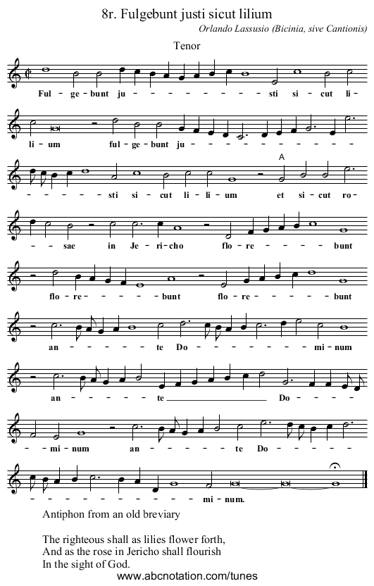 8r. Fulgebunt justi sicut lilium - staff notation