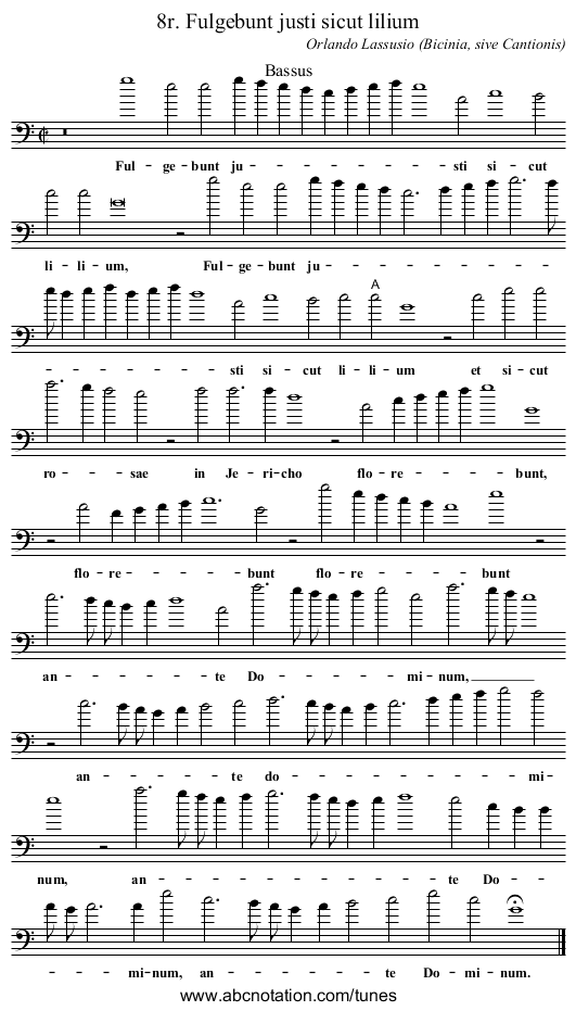8r. Fulgebunt justi sicut lilium - staff notation