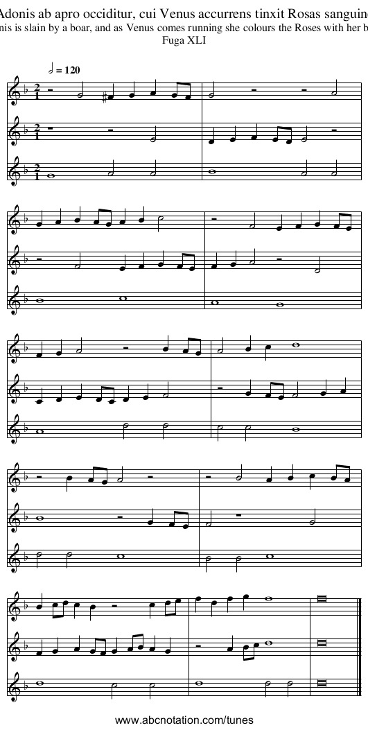 Adonis ab apro occiditur, cui Venus accurrens tinxit Rosas sanguine - staff notation