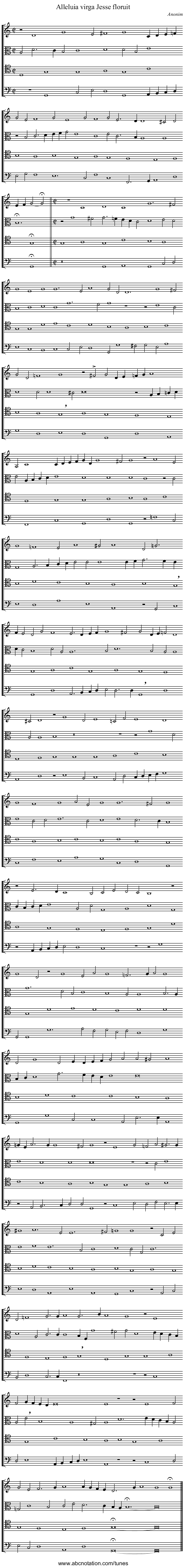 Alleluia virga Jesse floruit - staff notation