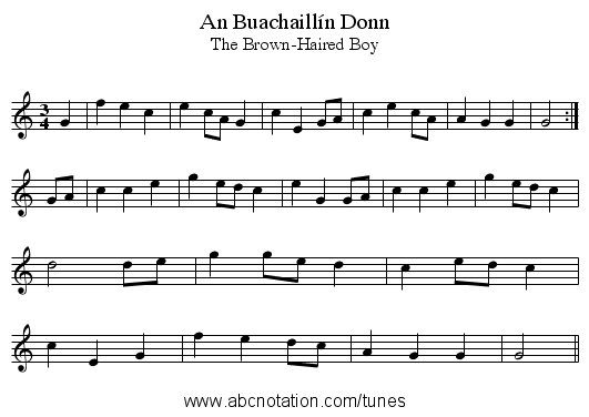 An Buachaill&iacute;n Donn - staff notation