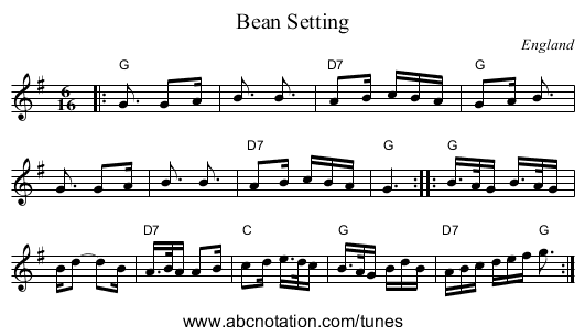 Bean Setting - staff notation