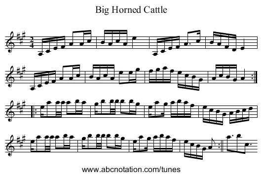 Big Horned Cattle - staff notation
