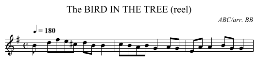 BIRD IN THE TREE (reel), The - staff notation