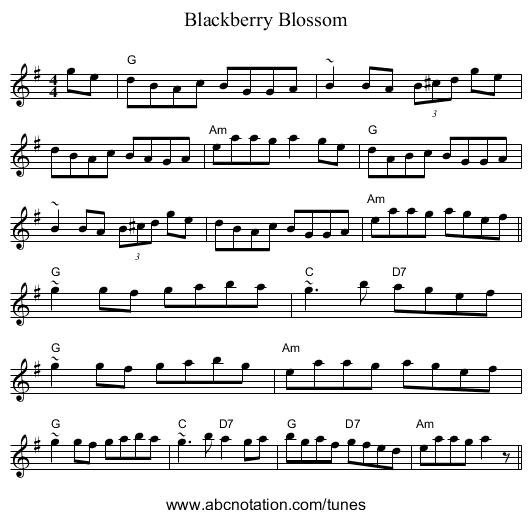 Blackberry Blossom - staff notation
