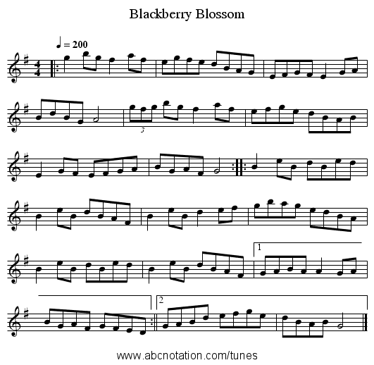 Blackberry Blossom - staff notation