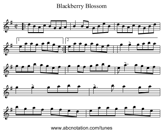 Blackberry Blossom - staff notation