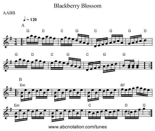 Blackberry Blossom - staff notation