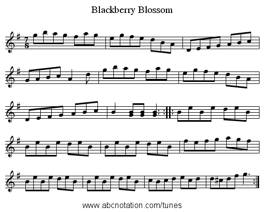 Blackberry Blossom - staff notation