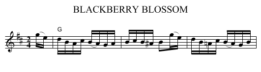 BLACKBERRY BLOSSOM - staff notation