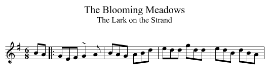 Blooming Meadows, The - staff notation