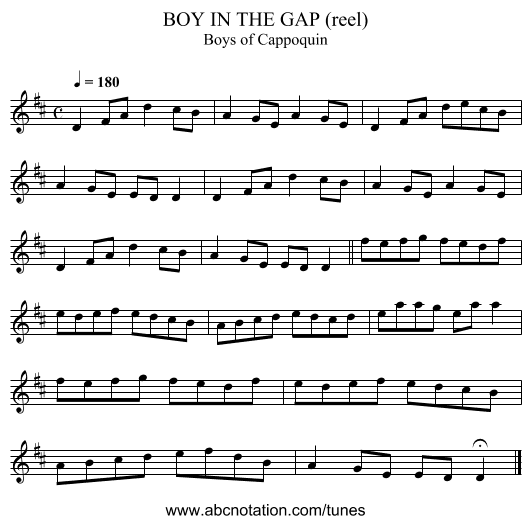 BOY IN THE GAP (reel) - staff notation