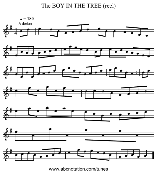 BOY IN THE TREE (reel), The - staff notation