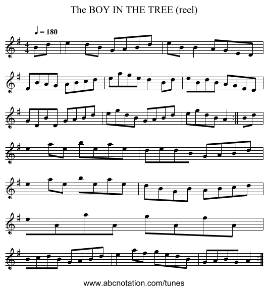 BOY IN THE TREE (reel), The - staff notation