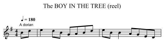 BOY IN THE TREE (reel), The - staff notation