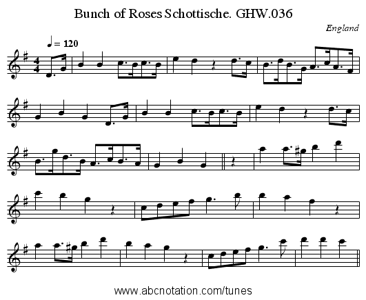 Bunch of Roses Schottische. GHW.036 - staff notation