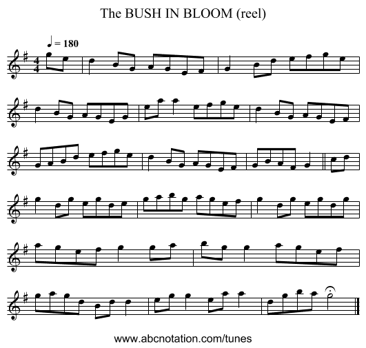BUSH IN BLOOM (reel), The - staff notation
