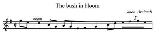 bush in bloom, The  - staff notation