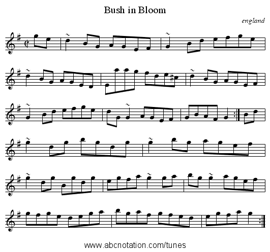 Bush in Bloom - staff notation
