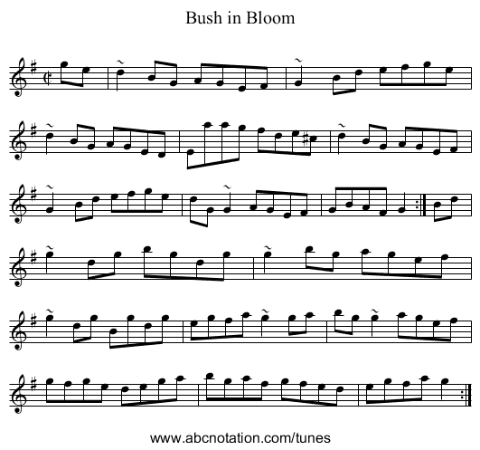 Bush in Bloom - staff notation