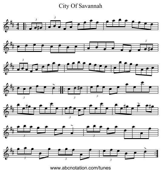 City Of Savannah - staff notation