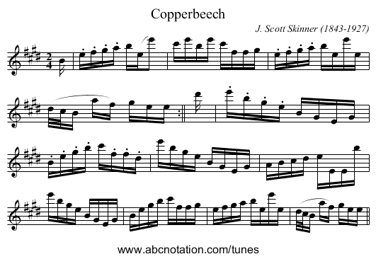 Copperbeech - staff notation