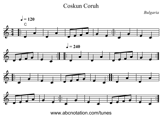 Coskun Coruh - staff notation