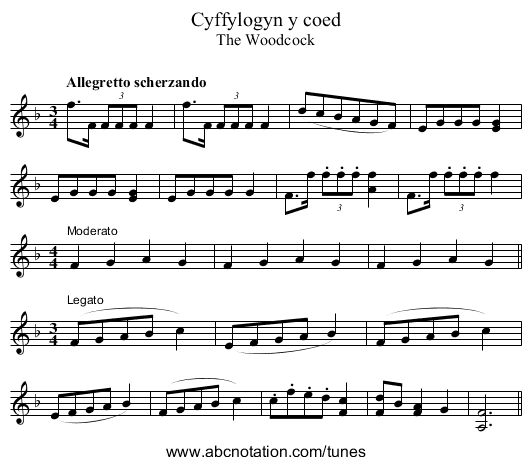 Cyffylogyn y coed - staff notation