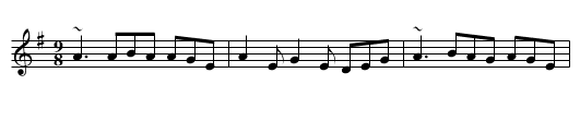 Elizabeth Kelly's Delight - staff notation