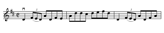 FAREWELL TO ERIN -- REEL - staff notation