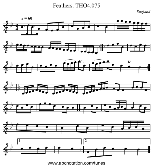 Feathers. THO4.075 - staff notation