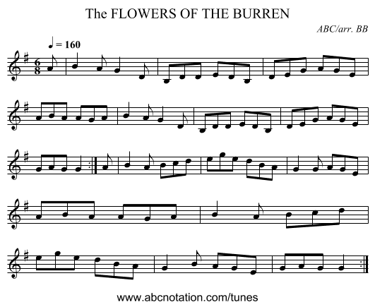 FLOWERS OF THE BURREN, The - staff notation