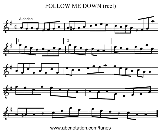 FOLLOW ME DOWN (reel) - staff notation