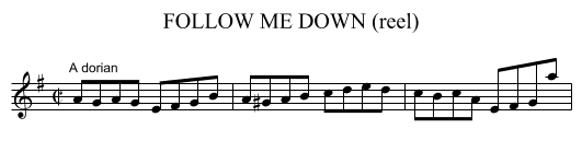 FOLLOW ME DOWN (reel) - staff notation