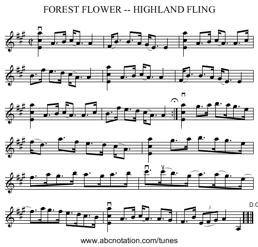 FOREST FLOWER -- HIGHLAND FLING - staff notation