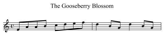 Gooseberry Blossom, The - staff notation