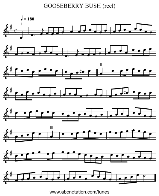 GOOSEBERRY BUSH (reel) - staff notation