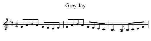 Grey Jay - staff notation