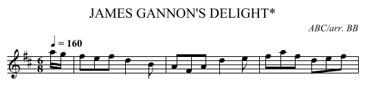 JAMES GANNON'S DELIGHT* - staff notation