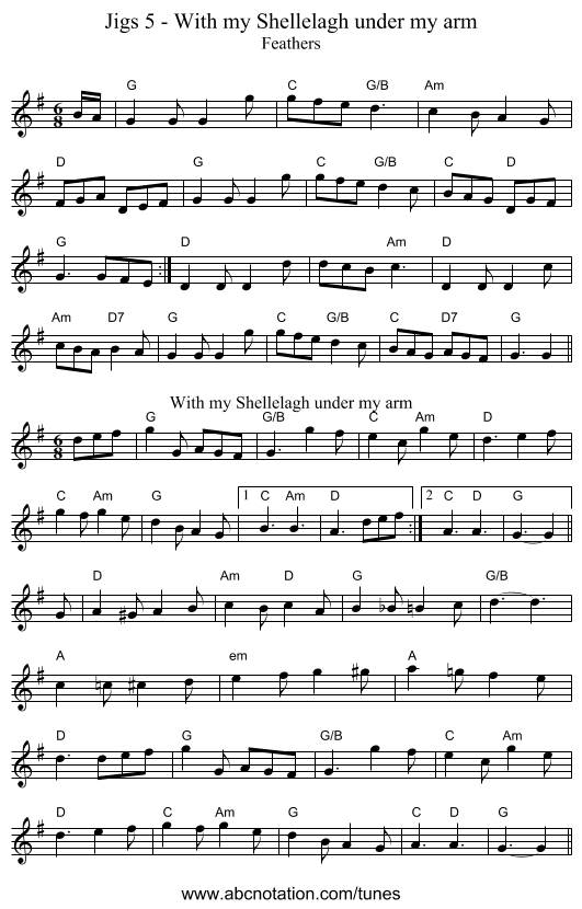 Jigs 5 - With my Shellelagh under my arm - staff notation