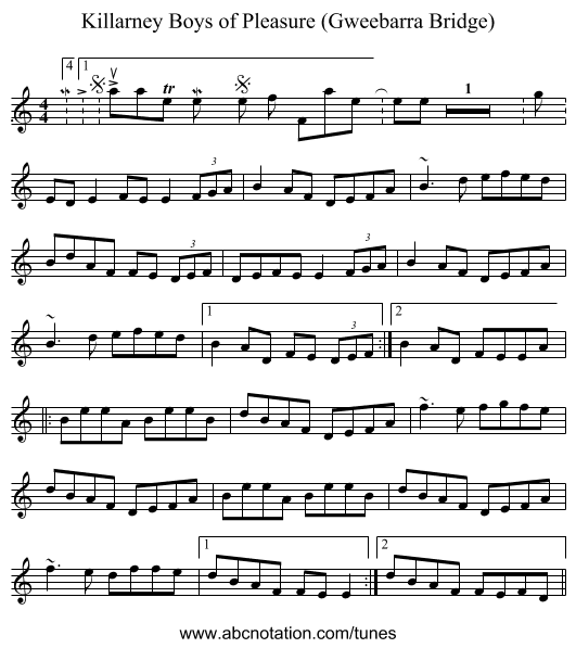 Killarney Boys of Pleasure (Gweebarra Bridge) - staff notation