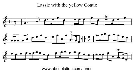Lassie with the yellow Coatie - staff notation