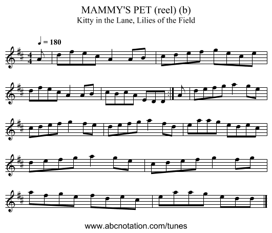 MAMMY'S PET (reel) (b) - staff notation