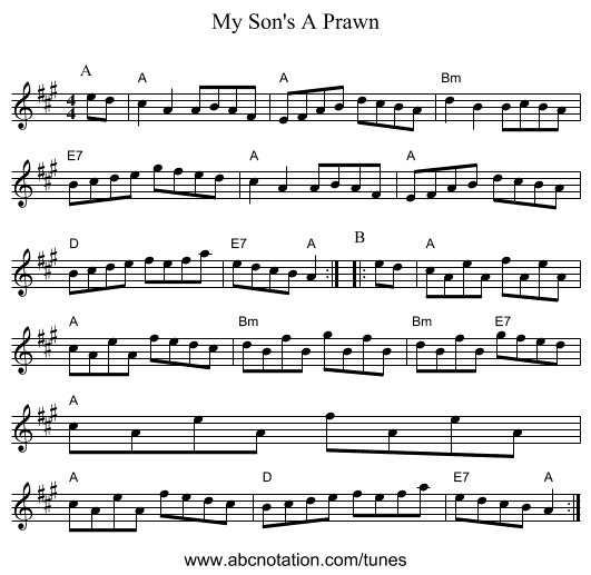 My Son's A Prawn - staff notation
