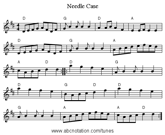 Needle Case - staff notation