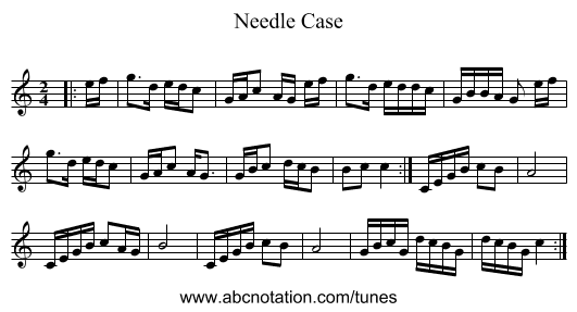 Needle Case - staff notation