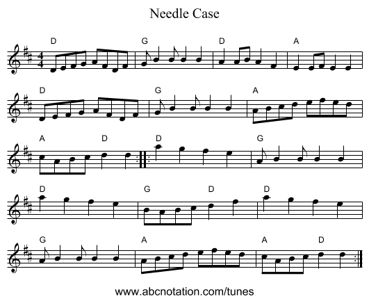 Needle Case - staff notation