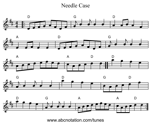 Needle Case - staff notation