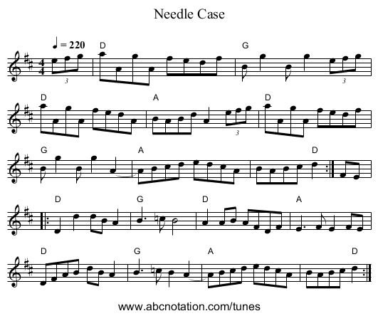 Needle Case - staff notation